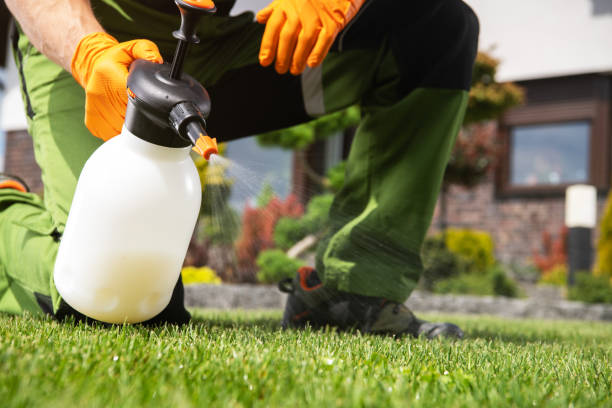 Best Pest Control for Hotels  in USA